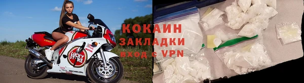 трава Белокуриха