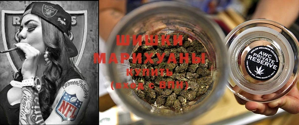 сатива Кулебаки