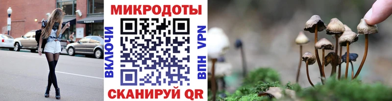 Галлюциногенные грибы MAGIC MUSHROOMS  что такое   Емва 